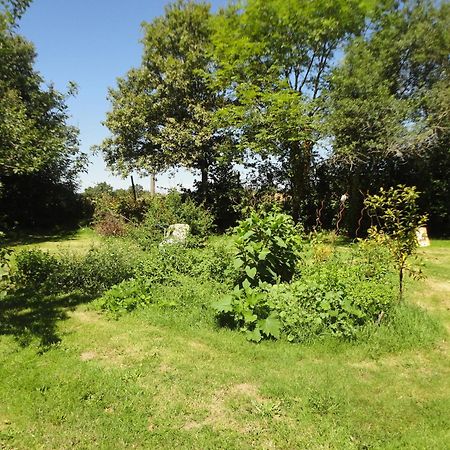 Tranquille Vienne Gites A Chirac Dept Charente Exteriér fotografie
